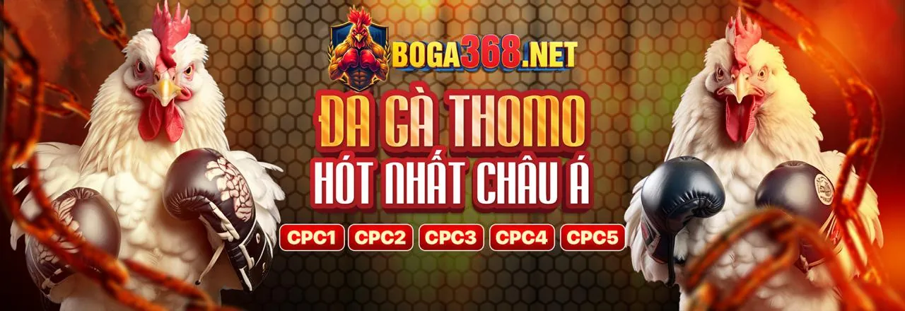 Nền Tảng Cá Cược Trực Tuyến alo 789 vn